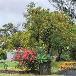 Certificate III in Horticulture - AHC30722