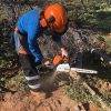 AHCMOM213 Operate and maintain chainsaws (Level1) - V.E.T. Centre Qld - Vocational Education & Training