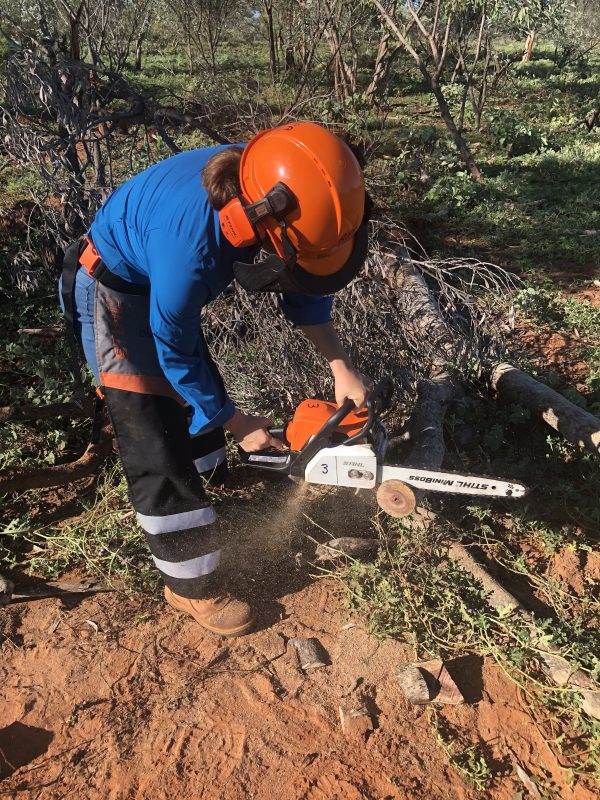 AHCMOM213 Operate and maintain chainsaws (Level1) - V.E.T. Centre Qld - Vocational Education & Training