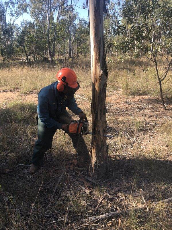 AHCPCM205 Fell small trees (Chainsaw Level 2) - V.E.T. Centre Qld - Vocational Education & Training