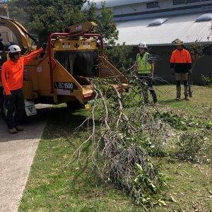 FWPHAR2208 Operate a mobile chipper-mulcher - V.E.T. Centre Qld - Vocational Education & Training