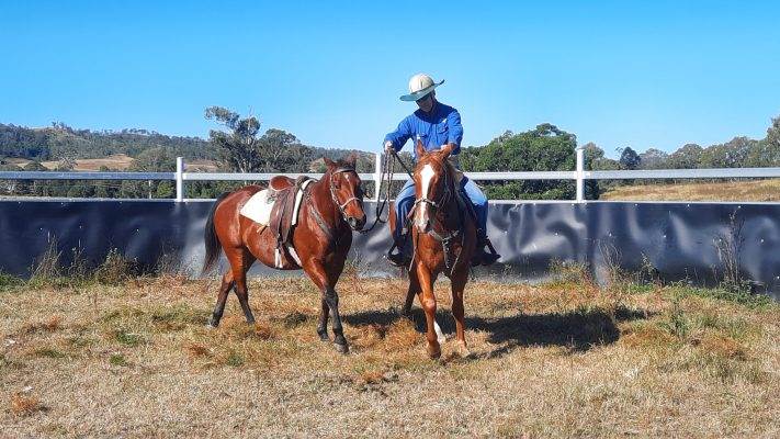V.E.T. Centre Qld - Vocational Education & Training - Pastural, Agriculture & Rural Training, Job Readiness (1)