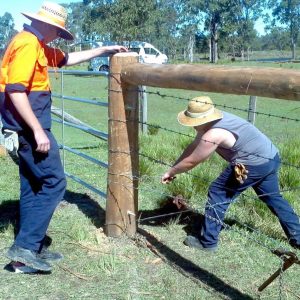 Install, maintain and repair farm fencing - AHCINF206