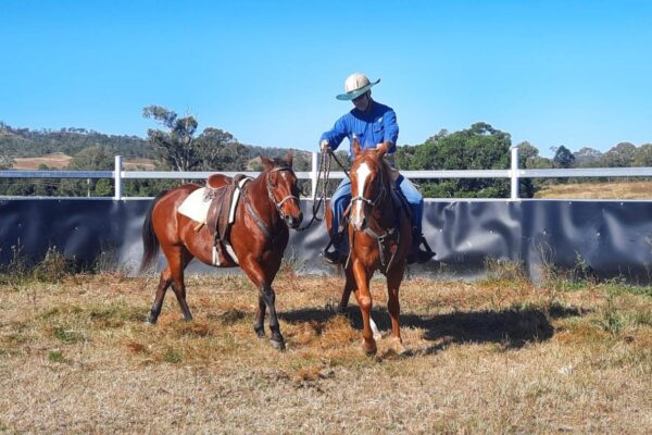 V.E.T. Centre Qld – Vocational Education & Training – Pastural, Agriculture & Rural Training, Job Readiness (1) V.E.T. Centre Qld - Vocational Education & Training - Pastural, Agriculture & Rural Training, Job Readiness (1)