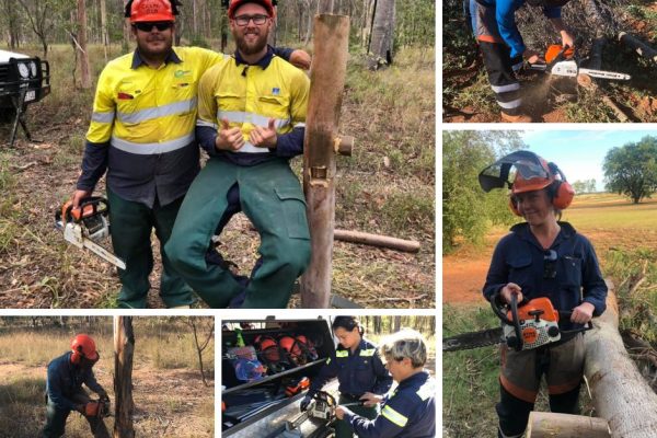 chainsaw training chainsaw training